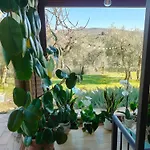 La Dolce Agogia