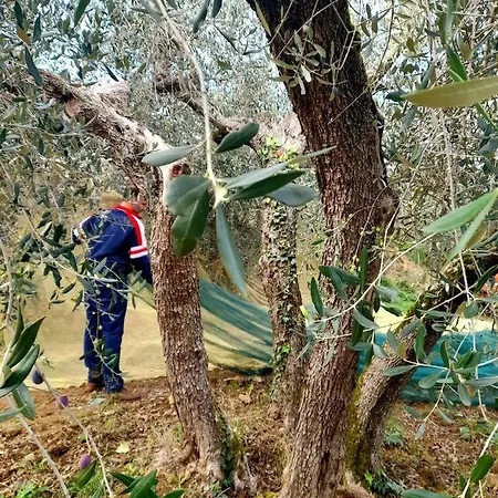 La Dolce Agogia Panicale