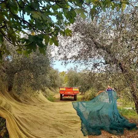 La Dolce Agogia Prázdninový dům