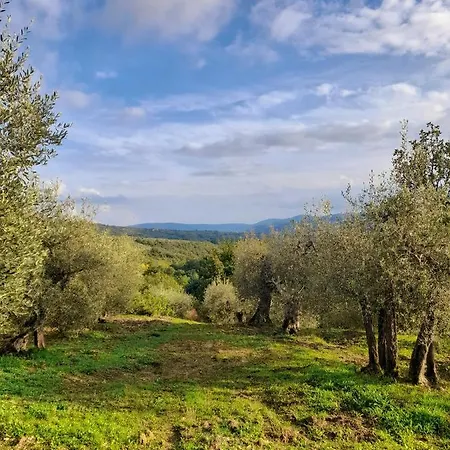 La Dolce Agogia *