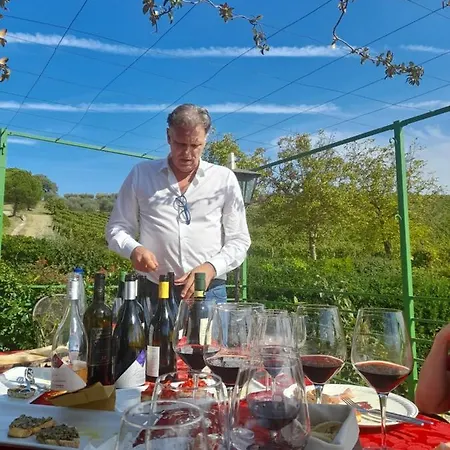 La Dolce Agogia * パニカーレ