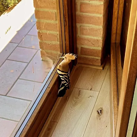 Prázdninový dům La Dolce Agogia