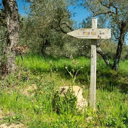 La Dolce Agogia Tatil Evi Panicale
