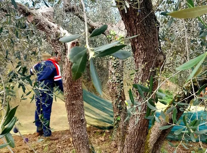 La Dolce Agogia Panicale