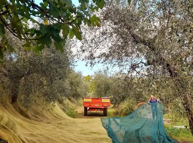 La Dolce Agogia Nyaraló
